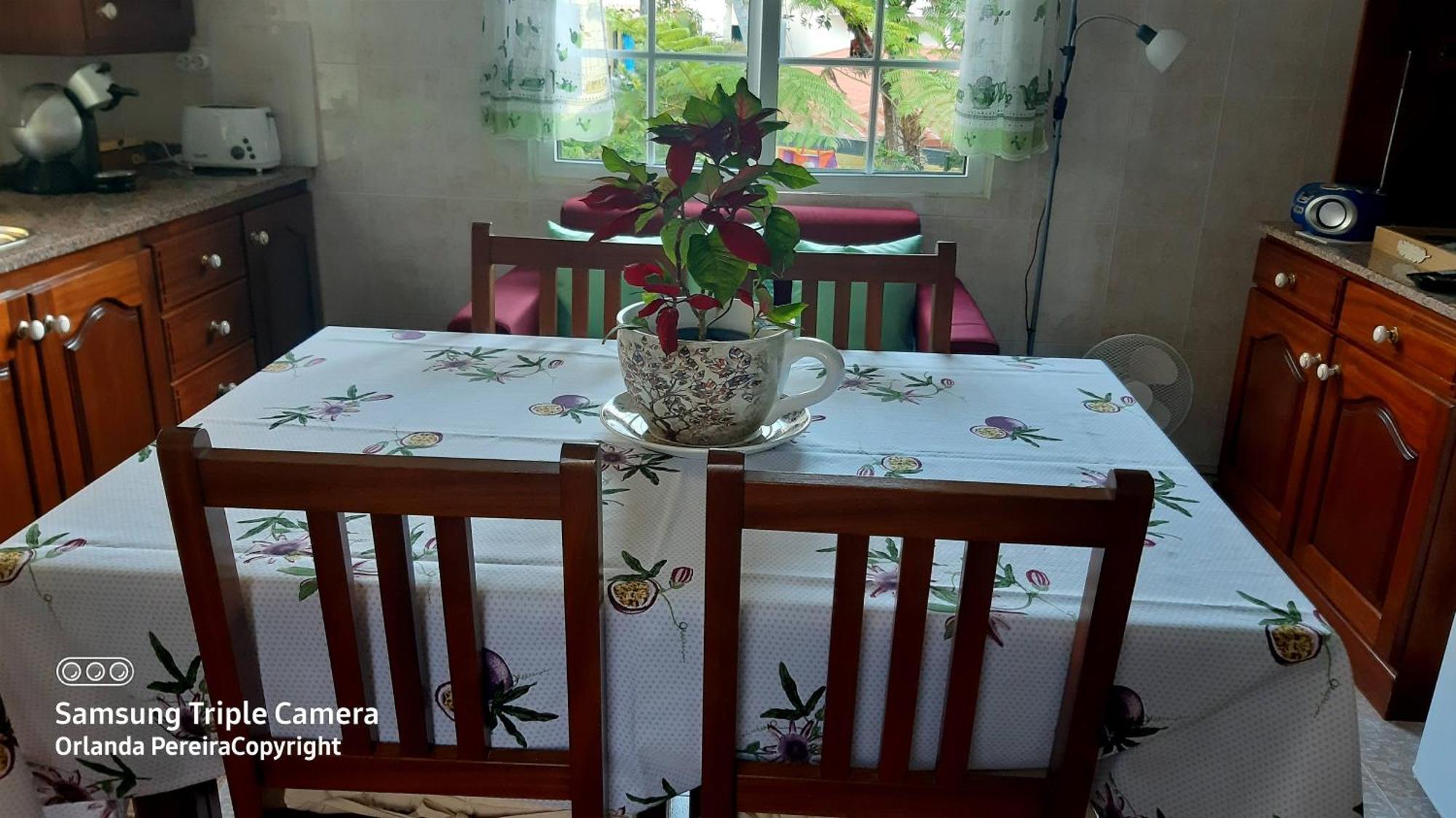 Terra Cha Cottage,Feel Home, São Vicente Buitenkant foto