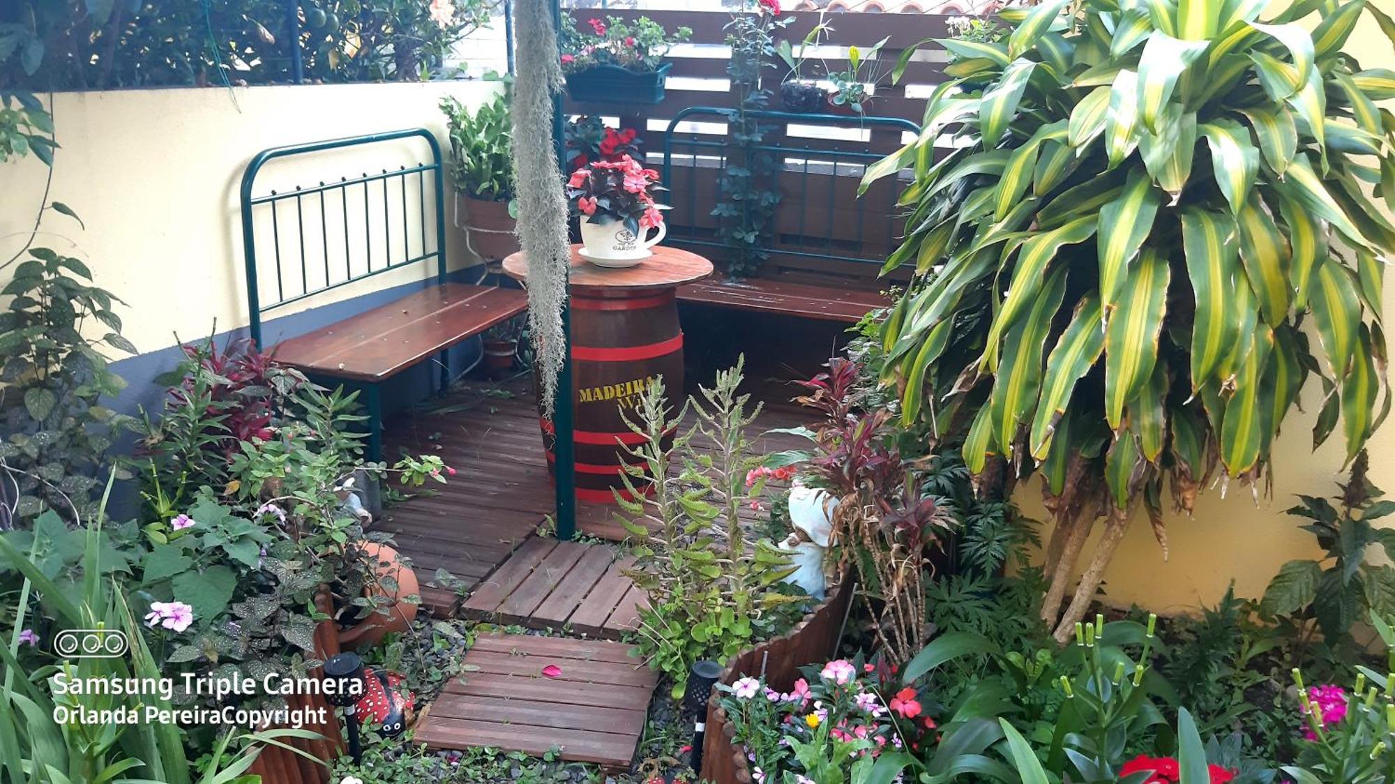 Terra Cha Cottage,Feel Home, São Vicente Buitenkant foto