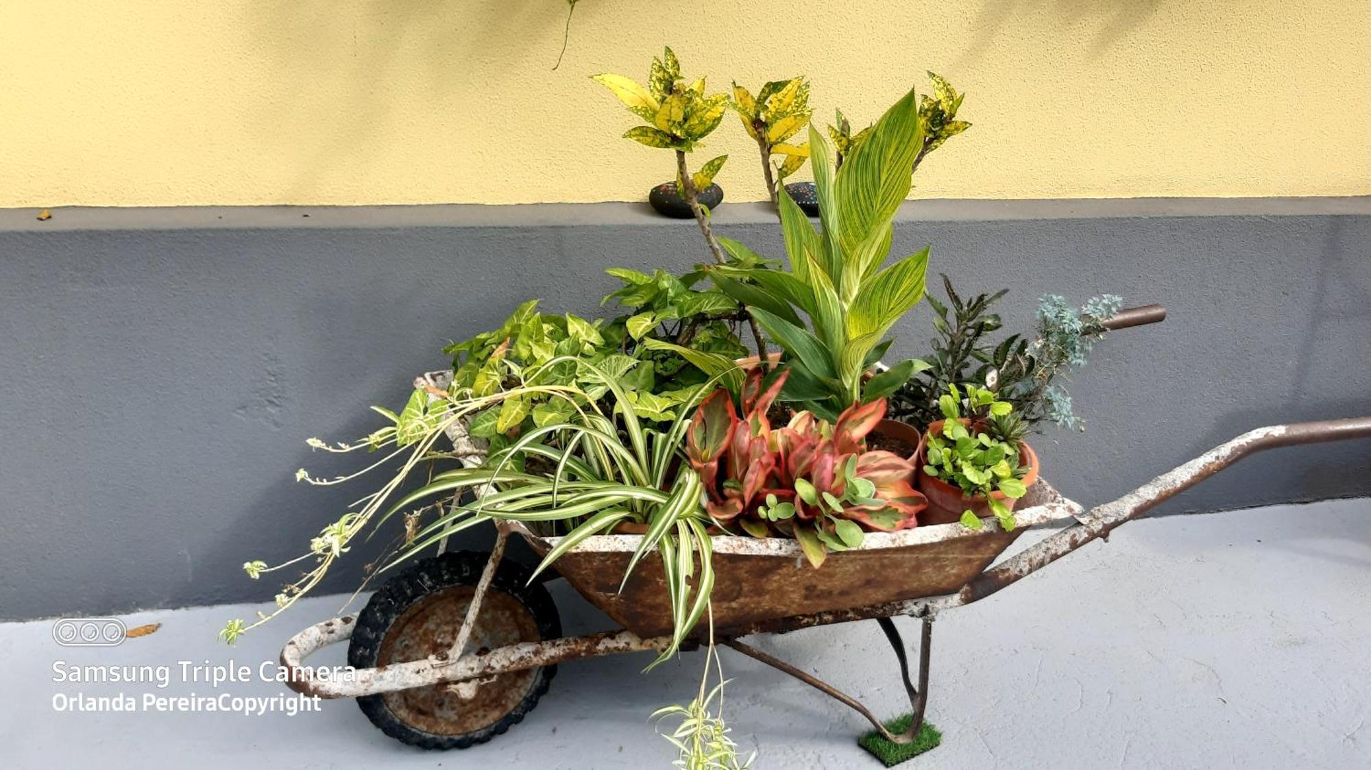 Terra Cha Cottage,Feel Home, São Vicente Buitenkant foto